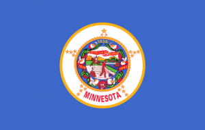 Minnesota State Flag