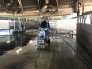 Grooved concrete at Meyer Farms